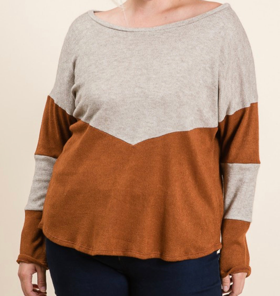 Two Tone Long Sleeve Top- Plus — Salon 209
